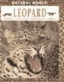 Leopard Habitats Life Cycles Food Chains Threats