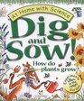 Dig and Sow How Do Plants Grow