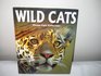 Wild Cats PhotoFact Collection