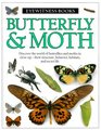 Eyewitness Butterfly  Moth