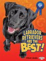 Labrador Retrievers Are the Best
