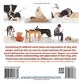 Helping Minds Meet Skills for a better life with your dog