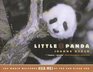 Little Panda The World Welcomes Hua Mei at the San Diego Zoo