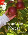 Fantastic Forest From the Forest Red Level NonFiction
