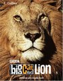 Big Cat Diary Lion