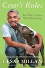 Cesar's Rules Your Way to Train a WellBehaved Dog