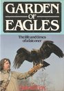 Garden of Eagles The Life and Times of a Falconer