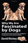 Why We Are Fascinated by Dogs