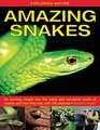 Exploring Nature Amazing Snakes An Exciting Insight Into the Weird and Wonderful World of Snakes and How They Live with 190 Pictures