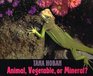Animal Vegetable or Mineral