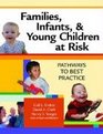 Families Infants and Young Children at Risk Pathways to Best Practice