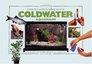 A Practical Guide to Setting Up Your Coldwater Aquarium