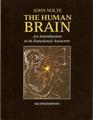 The Human Brain An Introduction to Its Functional Anatomy