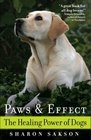 Paws and Effect: The Healing Power of Dogs
