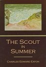 The Scout in Summer