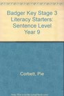 Badger Key Stage 3 Literacy Starters Sentence Level Year 9