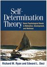 SelfDetermination Theory Basic Psychological Needs in Motivation Development and Wellness
