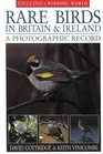 Rare Birds in Britain  Ireland A Photographic Record