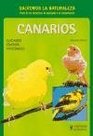 Canarios de color / Colorful Canaries Cuidados Crianza Variedades