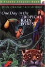 One Day in the Tropical Rain Forest
