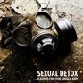 Sexual Detox A Guide for the Single Guy