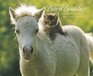 Barn Buddies 2010 Calendar: Horses & Friends