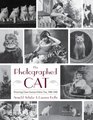 The Photographed Cat: Picturing Close Human-Feline Ties, 1900-1940
