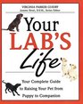 Your Lab's Life  Your Complete Guide to Raising Your Pet from Puppy to Companion