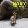 Baby Dinosaurs Calendar 2017 16 Month Calendar