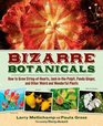 Bizarre Botanicals How to Grow StringofHearts JackinthePulpit Panda Ginger and Other Weird and Wonderful Plants