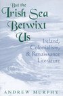 But the Irish Sea Betwixt Us Ireland Colonialism and Renaissance Literature