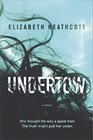 Undertow: A Novel