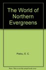 The World of Northern Evergreens