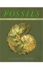 Fossils: The Key to the Past