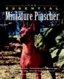 The Essential Miniature Pinscher