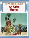 An Aztec Warrior