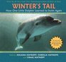 Winter's Tail How One Little Dolphin Learned To Swim Again