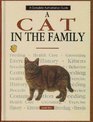 A Cat in the Family A Quarterly