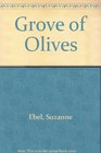 A Grove Of Olives