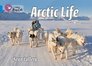 Arctic Life Blue/ Band 4