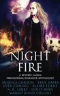 Night Fire A Reverse Harem Paranormal Romance Anthology