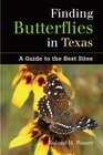 Finding Butterflies in Texas A Guide to the Best Sites