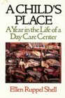 A Child's Place A Year in the Life of a Day Care Center