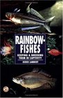 Rainbow Fishes Keeping  Breeding Them in Captivity