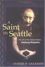A Saint in Seattle  The Life of the Tibetan Mystic Dezhung Rinpoche