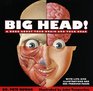 Big Head Book About Your Brain and Head