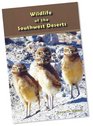Wildlife of the North American Deserts