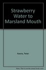 Strawberry Water to Marsland Mouth