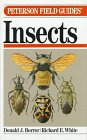 A Field Guide to Insects America North of Mexico