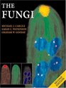 The Fungi 2nd Edition